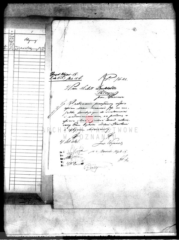 Obraz 5 z jednostki "Drzewostan majętności Pałczyn"