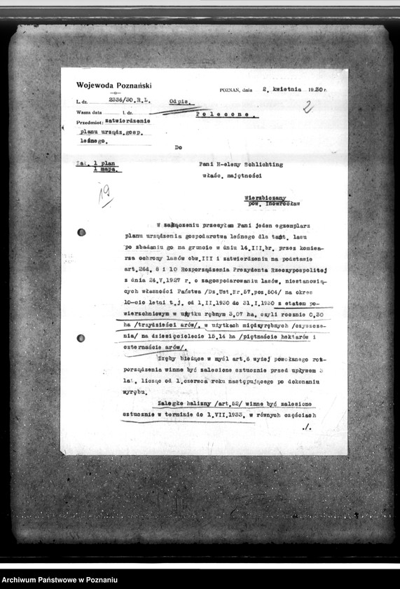 Obraz 6 z jednostki "Las majętności Wierzbiczany w powiecie inowrocławskim"