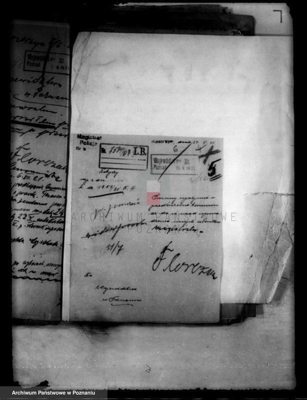 Obraz 10 z jednostki "Administracja miasta Kostrzyna"