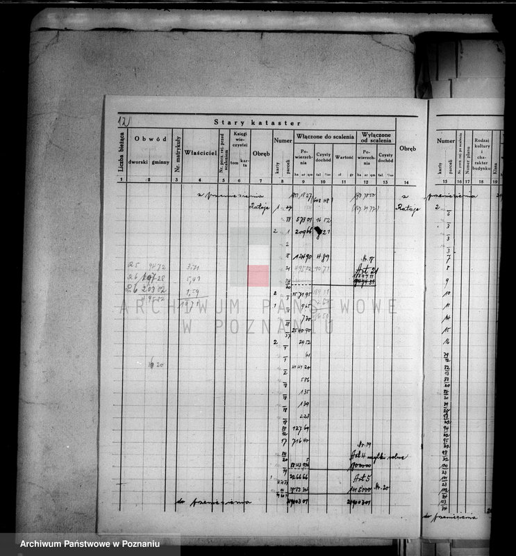 Obraz 16 z jednostki "Ogólne zestawienie powierzchni majątku Łobżenice powiatu wyrzyskiego"
