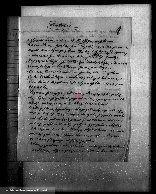 Obraz 5 z jednostki "Majętność leśna Kociałkowo powiat poznański"