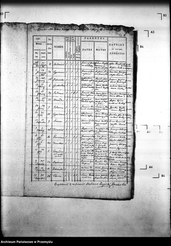 Obraz 14 z jednostki "[Kopie ksiąg metrykalnych parafii Małastów z filiami Ropica Ruska, Pętna (dekanat Gorlice)]"