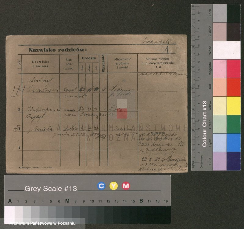 Obraz 1 z jednostki "Owczarzak - Ożyński"