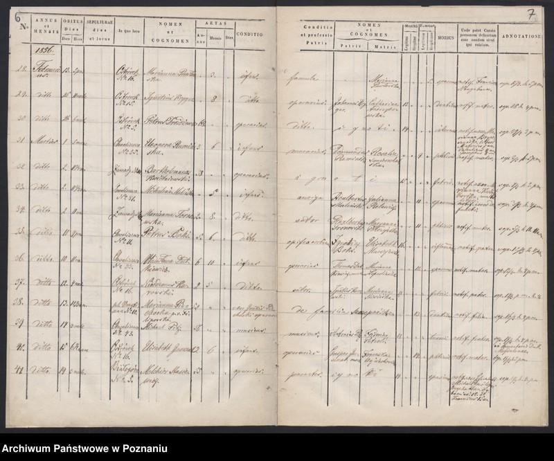 Obraz 6 z jednostki "Księga zgonów"