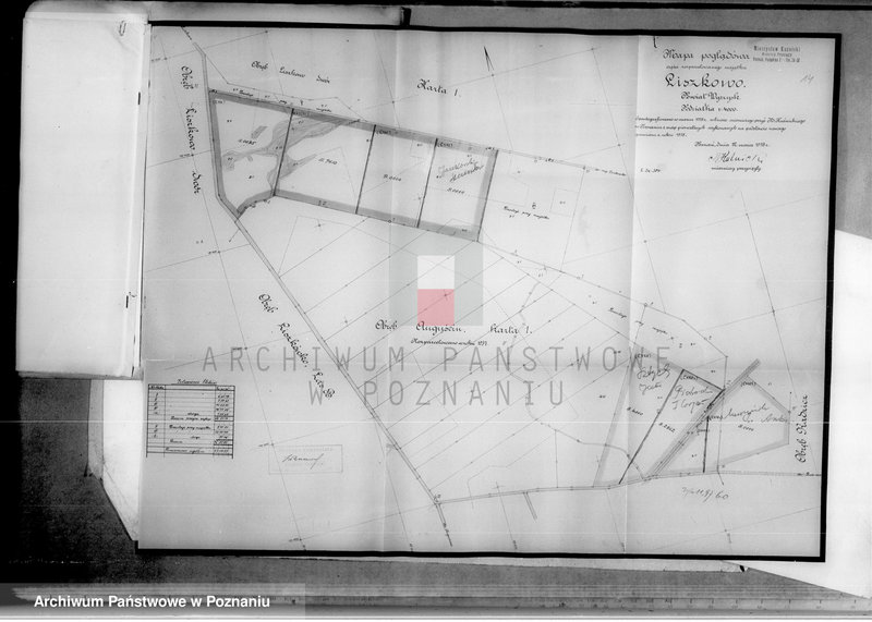 Obraz 19 z jednostki "Tymczasowy rejestr pomiarowo-parcelacyjny majątku Liszkowo powiatu wyrzyskiego"