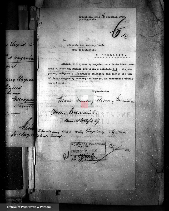 image.from.unit.number "Majętność leśna Przysieka powiat wągrowiecki"