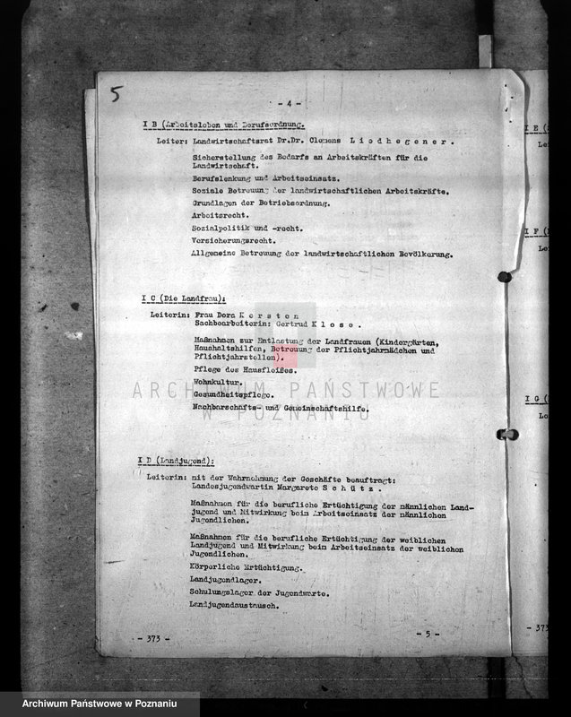 Obraz 11 z jednostki "Gliederungsplan der Landesbauernschaft Wartheland"