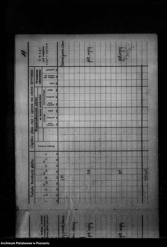 Obraz 19 z jednostki "/Program gospodarstw leśnych znajdujących się na terenie powiatu wolsztyńskiego/"