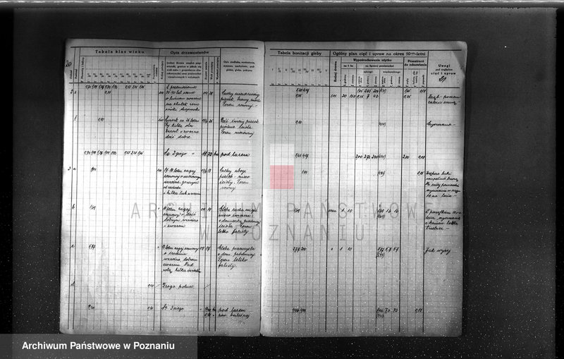 image.from.unit.number "Plan urządzenia gospodarstwa leśnego Baborówko-Baborowo powiat szamotulsko-obornicki 1929-1939"