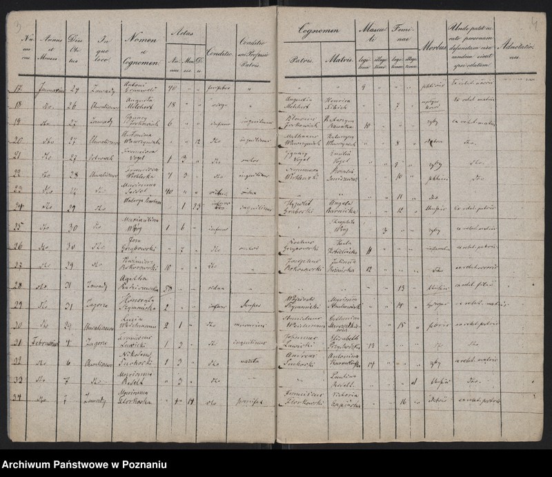 Obraz 4 z jednostki "Spis zgonów"