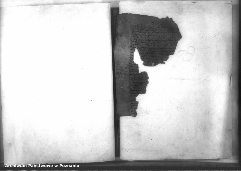 Obraz 4 z jednostki "Decreta officii [inducta]"