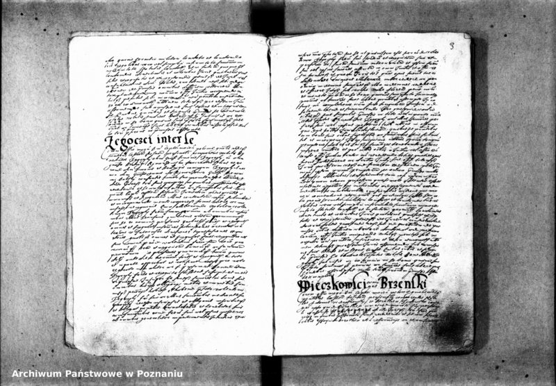 Obraz 7 z jednostki "Inscriptiones [inducta]"