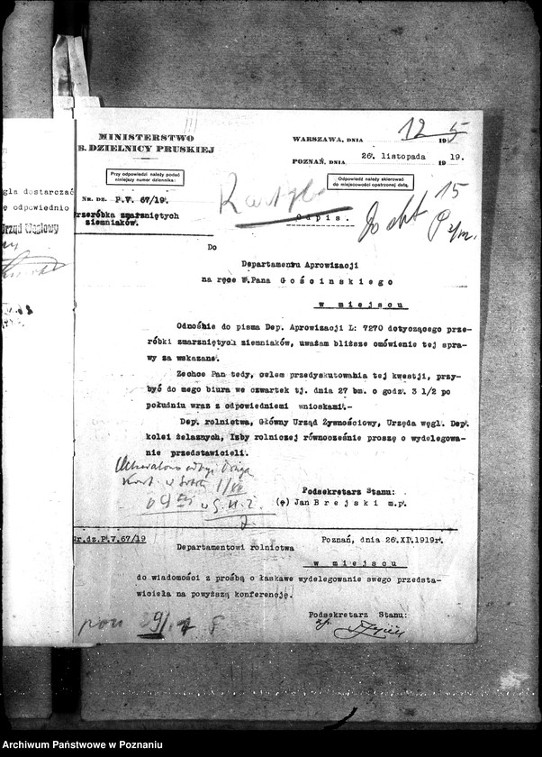 Obraz 19 z jednostki "Kartofle"