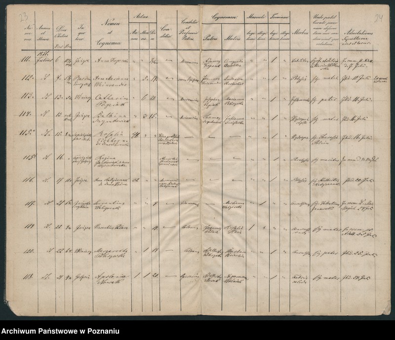 Obraz 14 z jednostki "Księga zgonów"