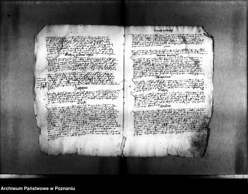 Obraz 14 z jednostki "Resignationes ,inscriptiones, relationes, decreta [protocollon]"