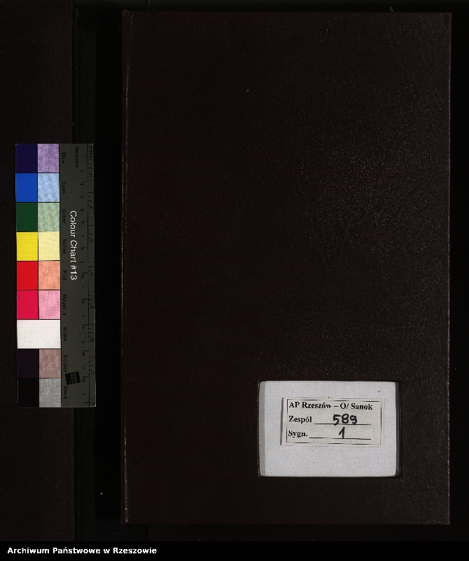 image.from.unit.number "Księga urodzeń dla miejscowości Niebieszczany"