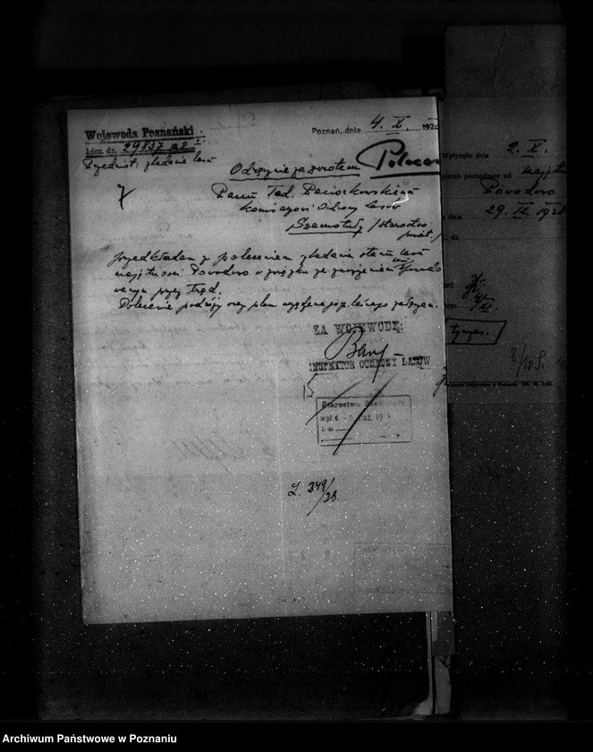 Obraz 11 z jednostki "Majętność leśna Powodowo powiat wolsztyński"