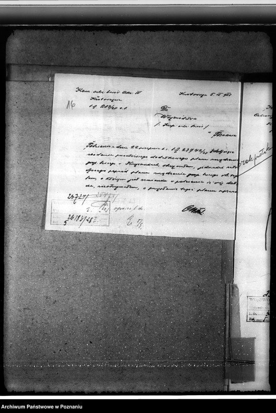 Obraz 20 z jednostki "Majętność leśna Krzyżanki w powiecie gostyńskim"