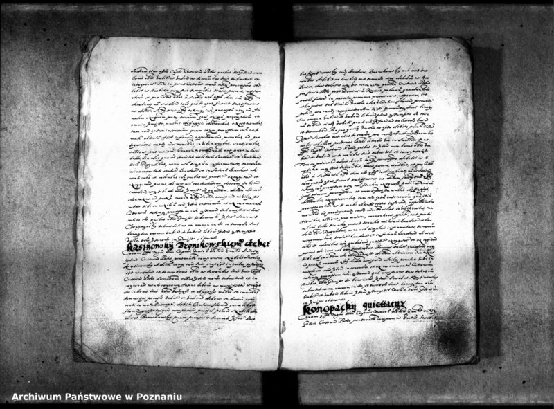 Obraz 8 z jednostki "Inscriptiones [inducta]"