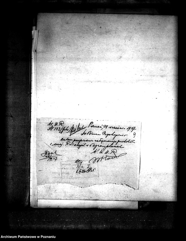 Obraz 14 z jednostki "Majątek Radomyśl powiatu leszczyńskiego gospodarstwo wzorcowe"