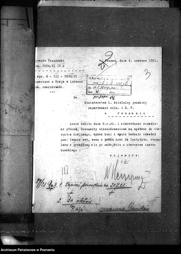 Obraz 7 z jednostki "Nosacizna - Czarnków"