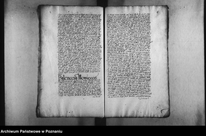 Obraz 13 z jednostki "Decreta [inducta]"