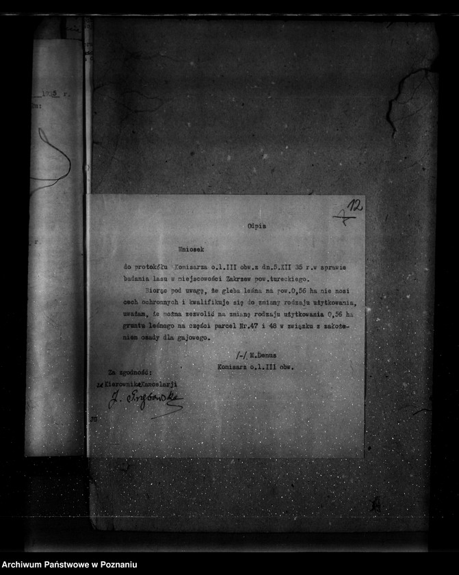 Obraz 16 z jednostki "Parcele leśne pod nazwą,,Zakrzew" powiat turecki"