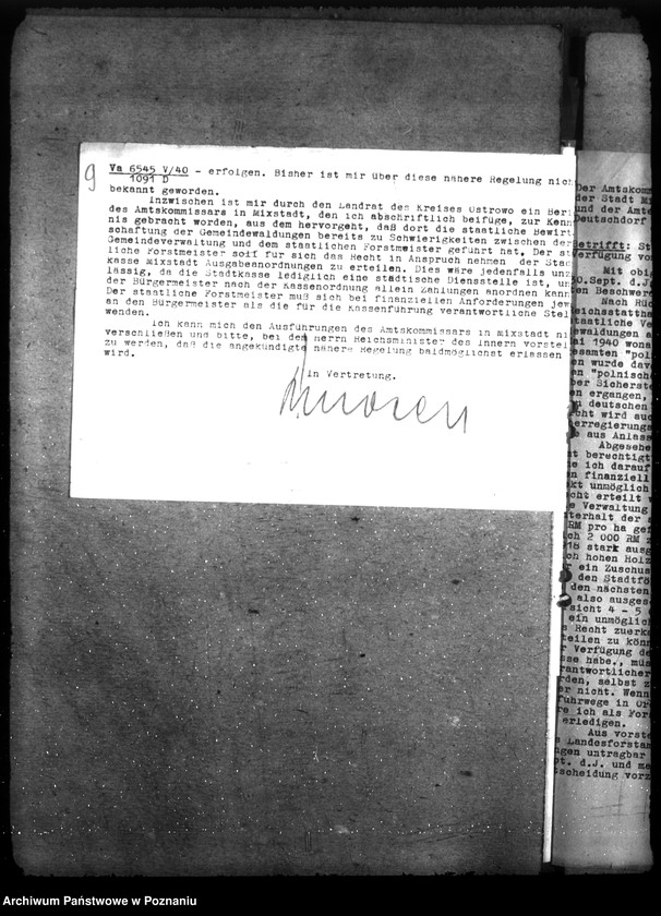 Obraz 13 z jednostki "Zarządzanie i gospodarowanie lasami gminnymi"