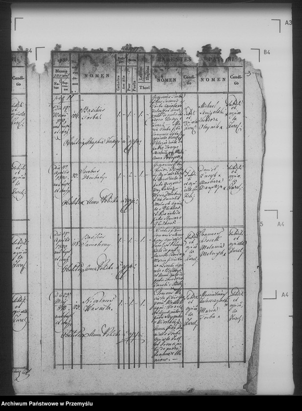 Obraz 7 z jednostki "[Kopie ksiąg metrykalnych parafii Żużel z filią Cebłów (dekanat Bełz)]"