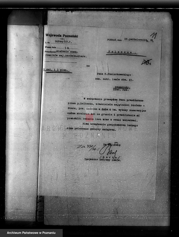 Obraz 15 z jednostki "Majętność Borówko Stare /nadzór nad gospodarką leśną/"