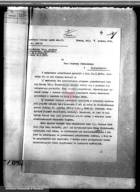 Obraz 8 z jednostki "Las majątku Borowy Młyn powiat międzychodzki"