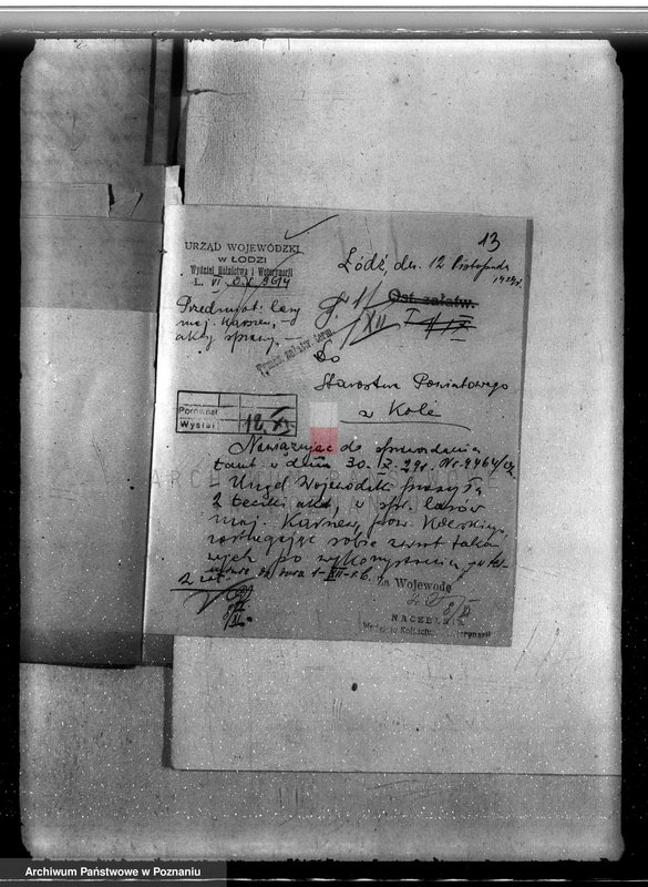 Obraz 17 z jednostki "Sprawa nieprawego wyrębu lasu w majątku Karczew w powiecie kolskim"