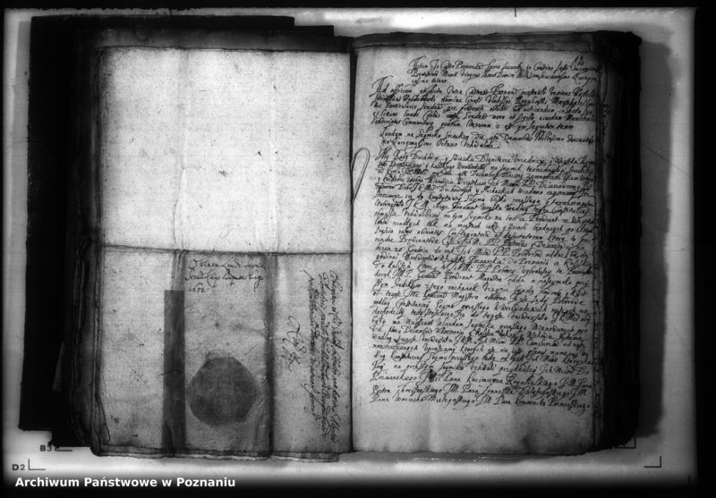 Obraz 15 z jednostki "Lauda [acticantia]"