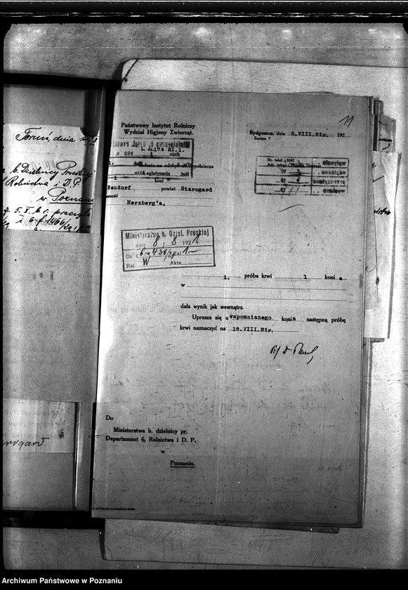 Obraz 15 z jednostki "Nosacizna - Starogard"