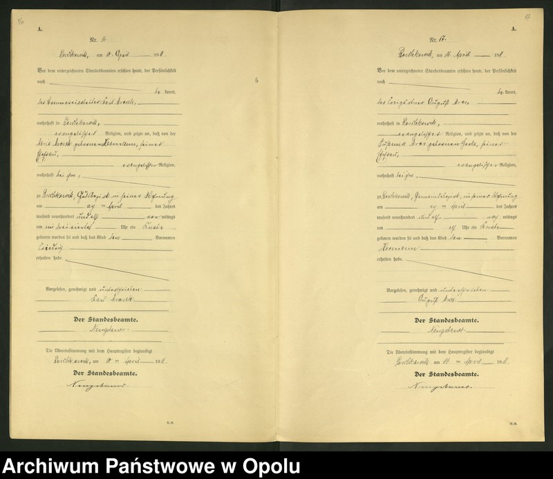 Obraz 11 z jednostki "Geburts-Register (Neben-Register) Standesamt Roschkowitz 1911 No.1 bis 49"