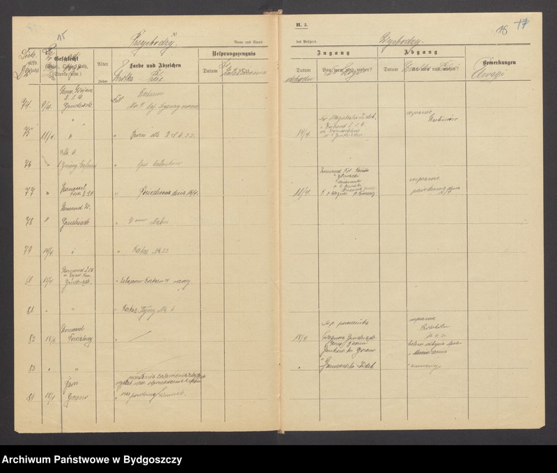 image.from.unit.number "Dziennik Komendy Powiatowej Straży Obywatelskiej w Brodnicy za rok 1921"