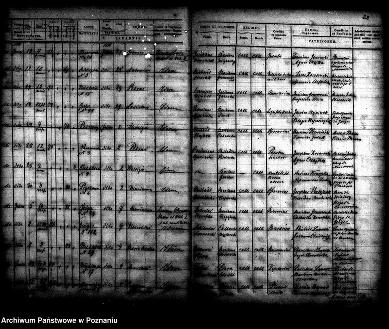 Obraz 16 z jednostki "Księga urodzin"