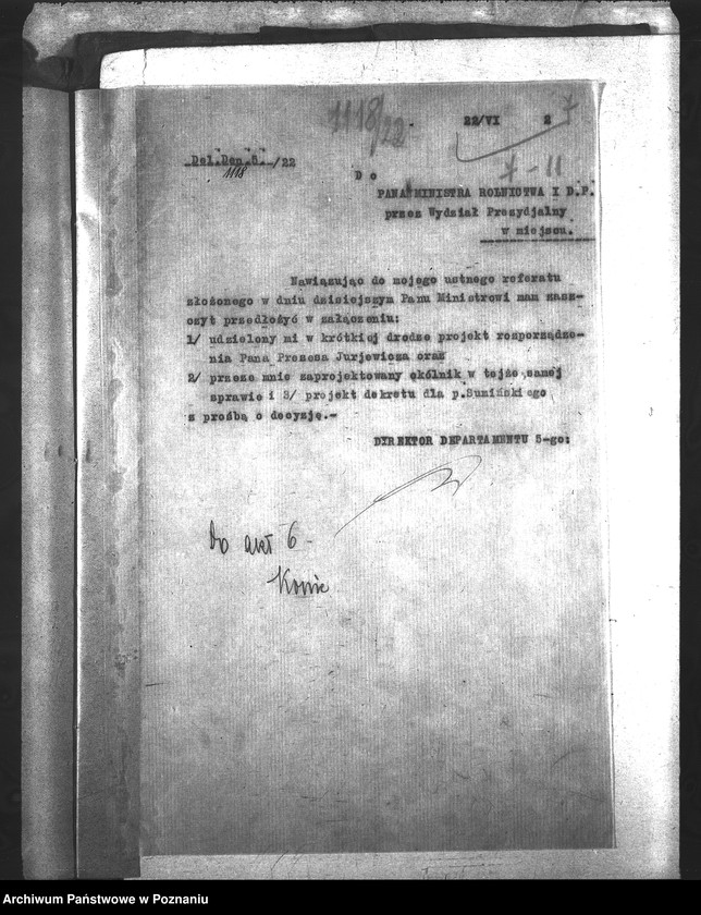 Obraz 11 z jednostki "Konie"