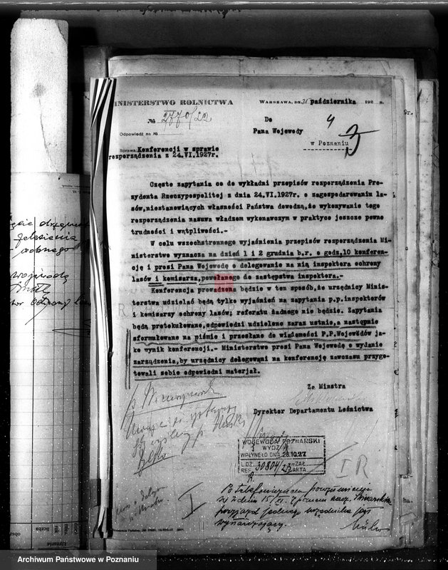 Obraz 8 z jednostki "Majętność Posadowo w powiecie nowotomyskim"