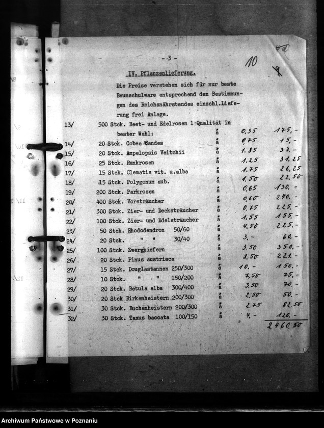 Obraz 14 z jednostki "Prace budowlane w ogrodzie urzędu namiestnika"