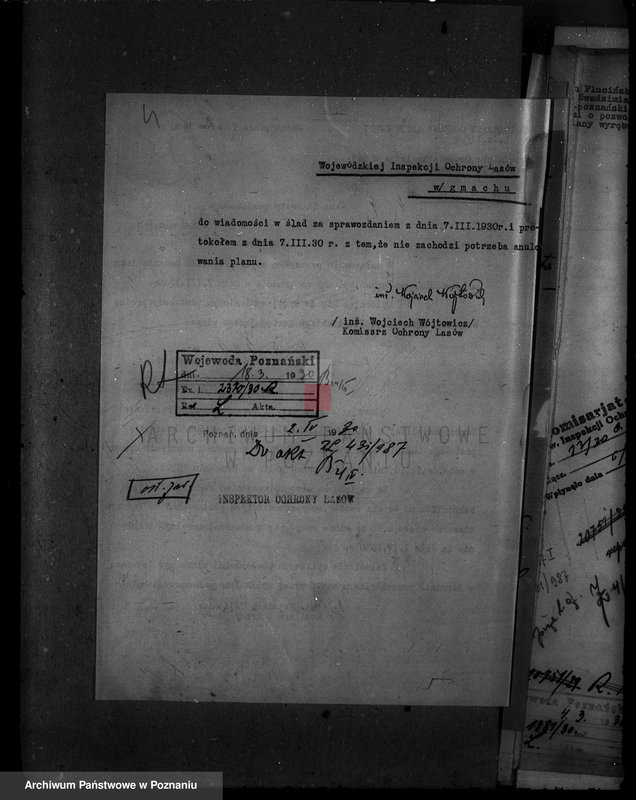 Obraz 8 z jednostki "Majętność leśna Swadzim powiat poznański"