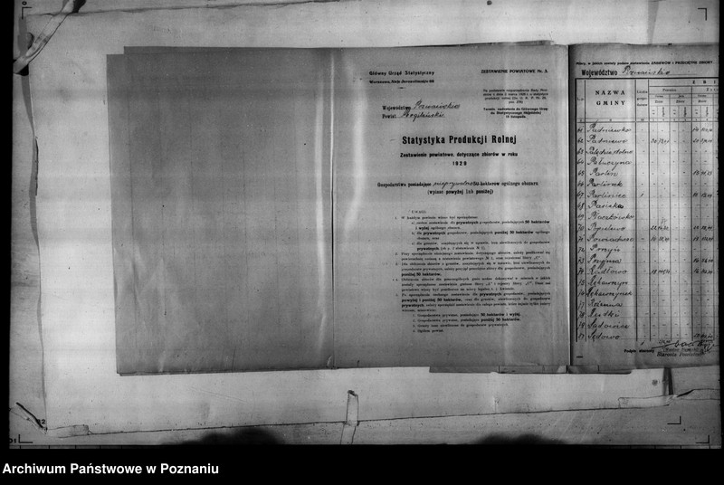 Obraz 13 z jednostki "/Statystyka produkcji rolnej - zestawienie powiatowe - Mogilno/"