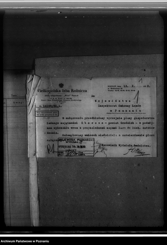 Obraz 5 z jednostki "Majętność leśna Zborowo powiat poznański"