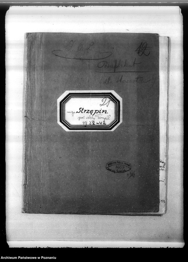 Obraz 4 z jednostki "Plan urządzenia gospodarstwa leśnego lasu majątku Strzępiń w powiecie nowotomyskim 1932-1942"