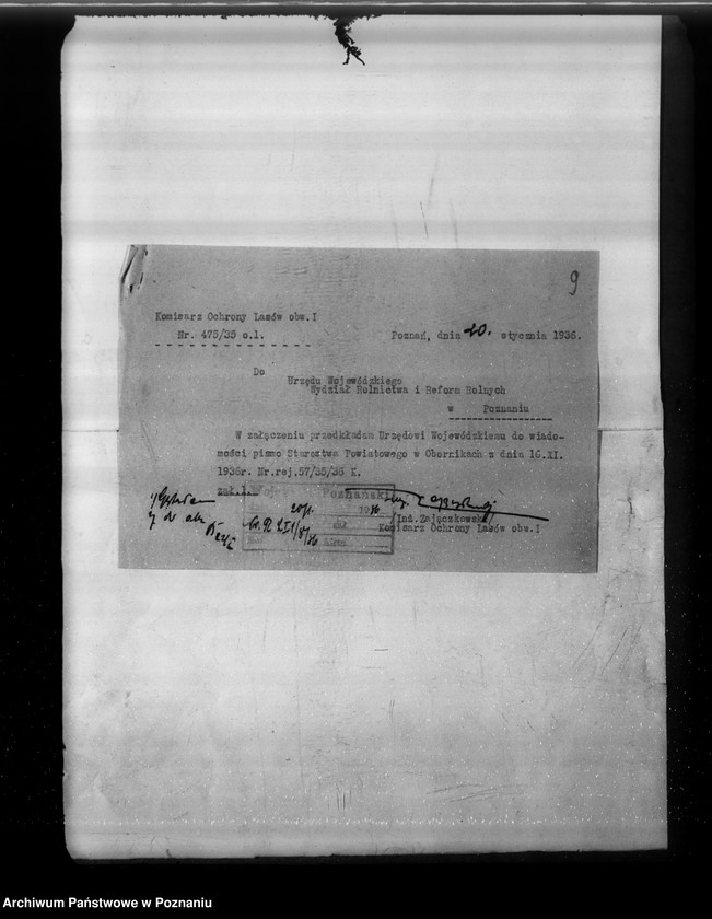 image.from.unit.number "Nadzór nad powiatowymi organami ochrony lasów"