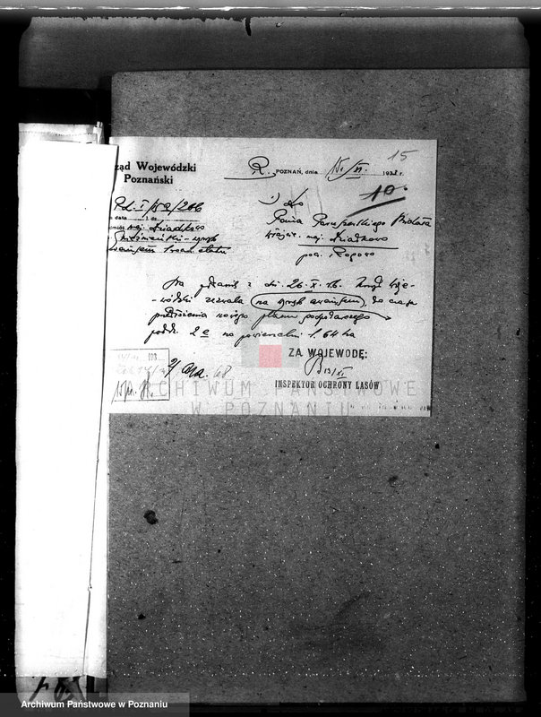 Obraz 19 z jednostki "Nadzór nad gospodarką w lasach majątku Dziadkowo powiecie gnieźnieńskim"