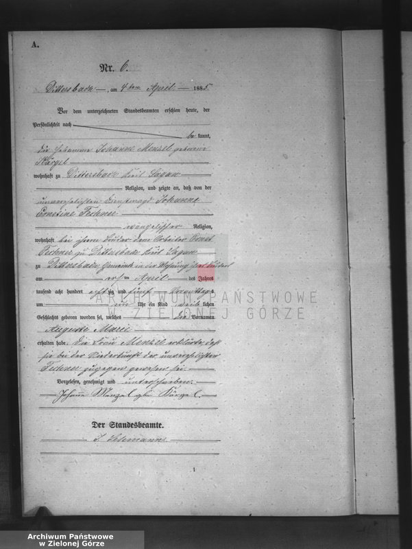 Obraz 9 z jednostki "[Księga aktów urodzeń]"