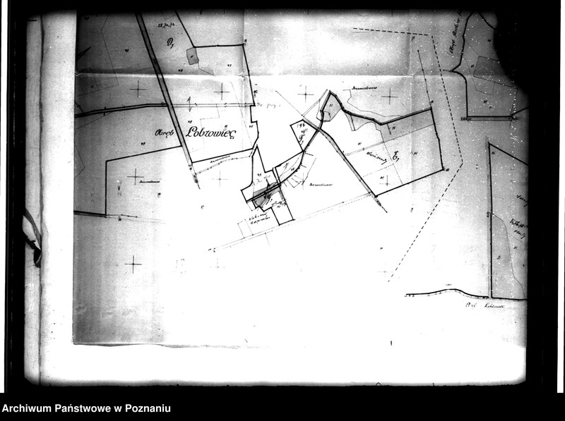 Obraz 20 z jednostki "Rejestr pomiarowo-klasyfikacyjny majątku Góra powiat jarociński"