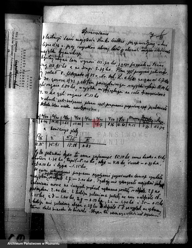 Obraz 11 z jednostki "Majętność leśna Srocko-Wielkie powiat kościański"