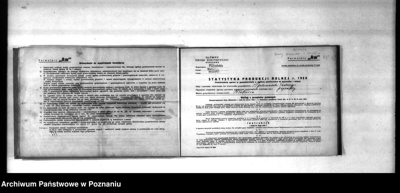 Obraz 17 z jednostki "Polnische Bodenbenutzugserhebung. Kreis Wollsbein (Wolsztyn)"